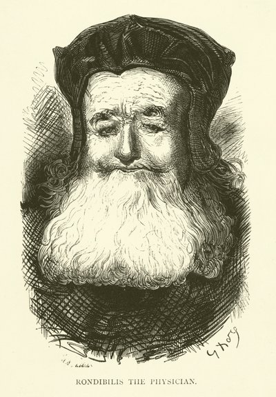 Illustration pour les œuvres de Rabelais - Gustave after Dore